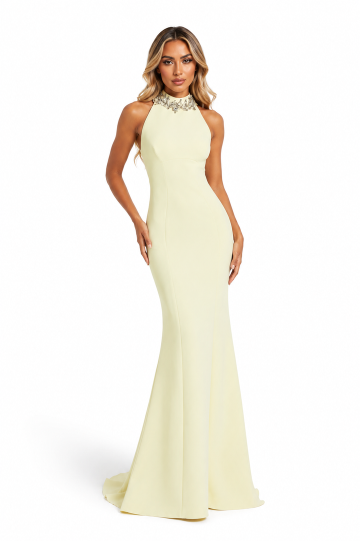 Embellished Halter-Neck Gown - Celeste
