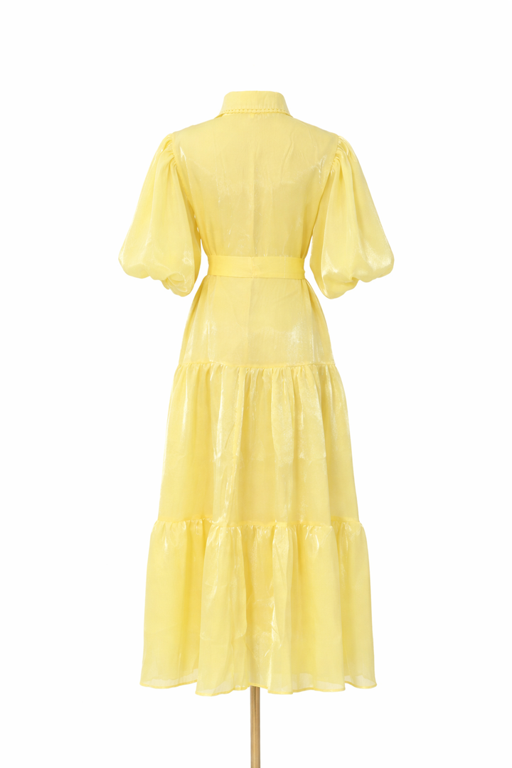 puff sleeve shirt midi dress with embroidered bodice and belt – OLIVIA