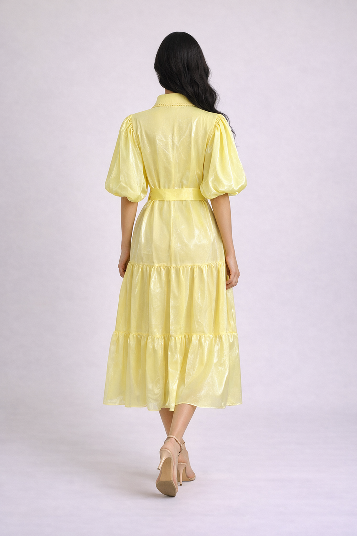puff sleeve shirt midi dress with embroidered bodice and belt – OLIVIA