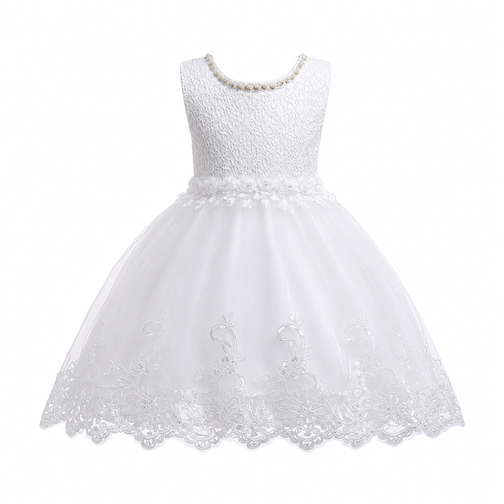 Princess Lace Tulle Dress for Girls - Fairy
