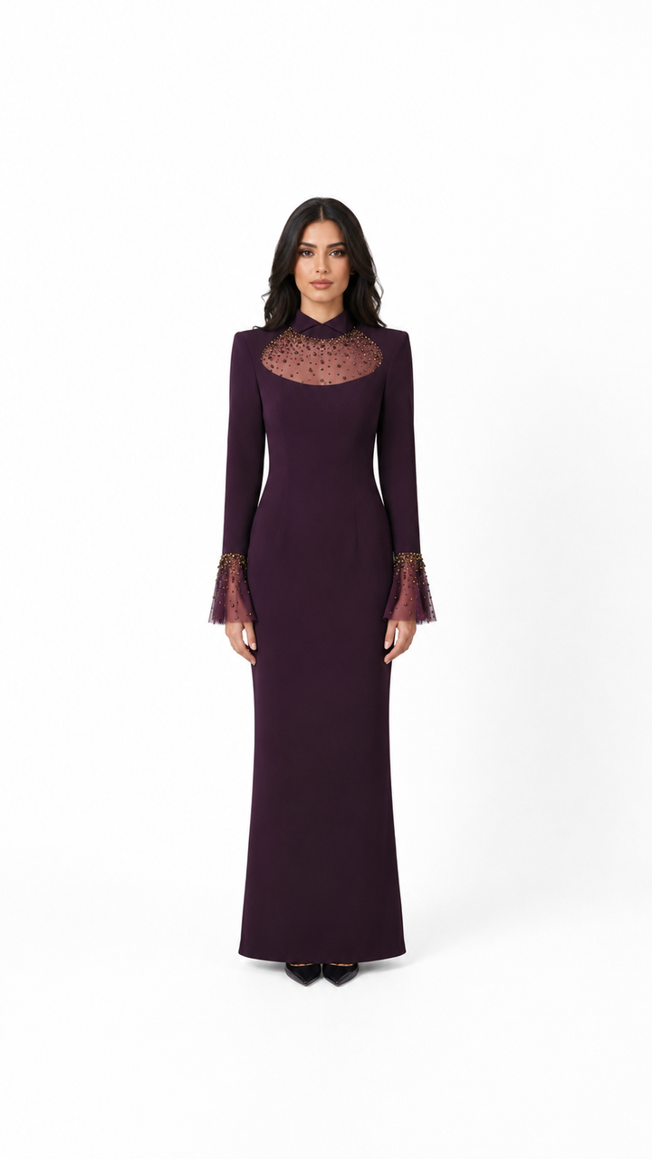 Plum Embellished Illusion Neck Maxi Dress – VIRLA