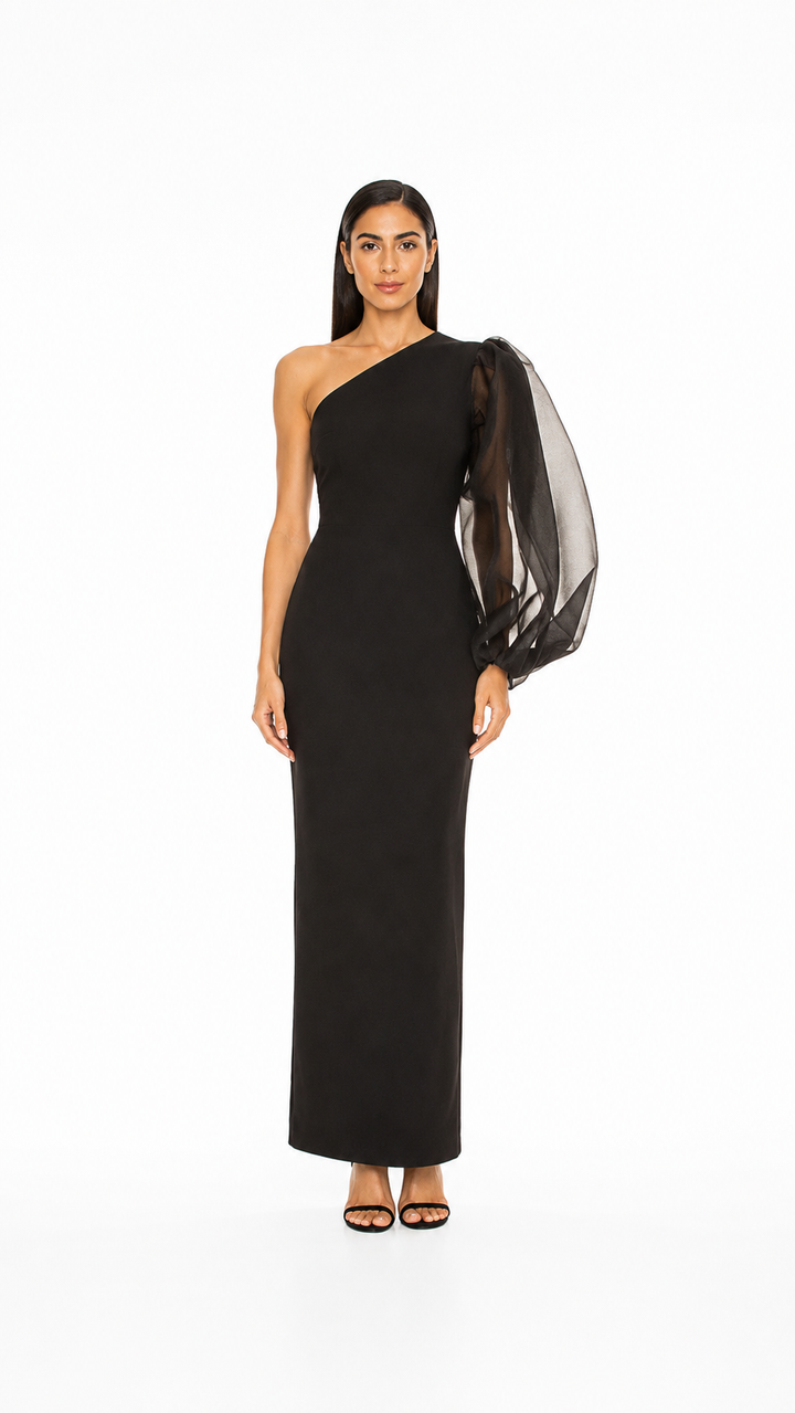 Black One-Shoulder Sheer Sleeve Evening Gown – NOCTIS