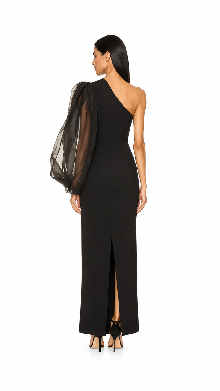 Black One-Shoulder Sheer Sleeve Evening Gown – NOCTIS