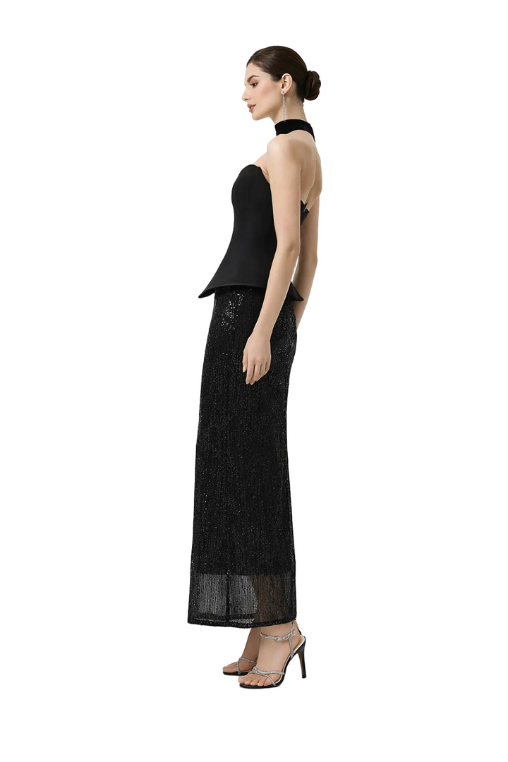 Strapless Corset Top with Choker Neck Maxi Skirt – ÉCLAT